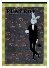 1995 playboy chromium for sale  Union