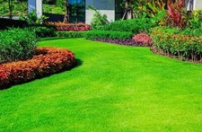 rug green shag grass for sale rug green shag grass for sale Marietta