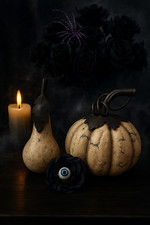 Halloween rustic pumpkin for sale  Dania