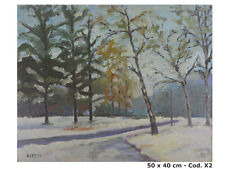 Paesaggio invernale quadro usato  Torino