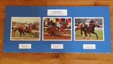 Secretariat triple crown for sale  Lexington