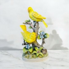 Royal crown canary for sale  Green Valley