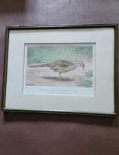 Framed picture ring for sale  PEWSEY