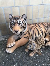 Tiger babys gebraucht kaufen Tiger babys gebraucht kaufen  Worms