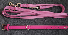Hundehalsband hunter hundelein gebraucht kaufen  Irchenrieth