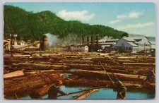 Postcard redwood empire for sale  Winter Park