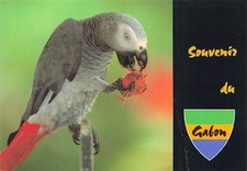gris gabon d'occasion gris gabon d'occasion Expédié en Belgium