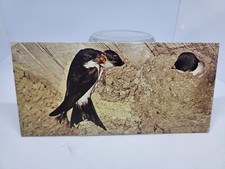 Nesle merveilles carte d'occasion  Compiègne