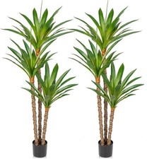 Artificial yucca trees for sale  SALFORD