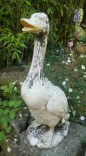 Canard jardin parc d'occasion  France