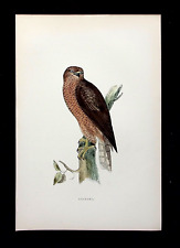 Goshawk original antique for sale  ILKLEY