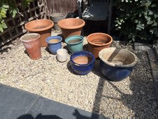 Selection ornamental garden for sale  BRISTOL