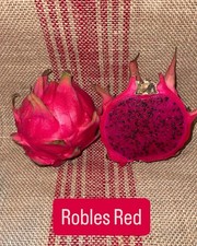 Mature robles red for sale  Port Hueneme