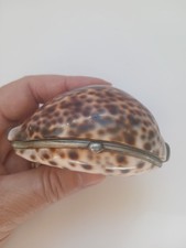 Antique cowrie shell for sale  WATERLOOVILLE