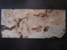 Maser pappel poplar gebraucht kaufen  Dresden