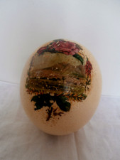 Ostrich egg antique for sale  CHELMSFORD