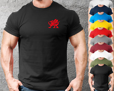 Welsh dragon gym for sale  MANCHESTER