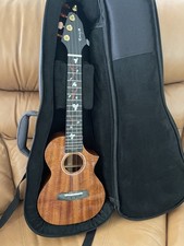 Enya euc enya for sale  Haines City
