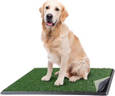 Artificial grass puppy for sale  Independence