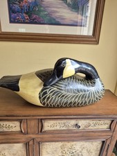 ducks goose for sale ducks goose for sale Shickshinny