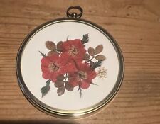 Miniature red roses for sale  OAKHAM