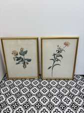 Vtg botanical floral for sale  LIVERSEDGE