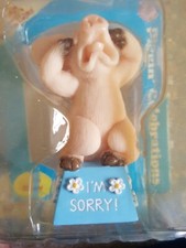 Piggin celebration sorry for sale  IPSWICH