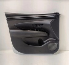 Pannello porta anteriore usato Pannello porta anteriore usato  Rimini