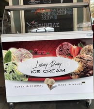 Scoop ice cream for sale  NEWTOWN