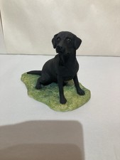 Black labrador type for sale  SCARBOROUGH