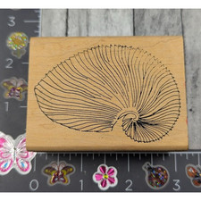 Printworks conch seashell for sale  Greenwood