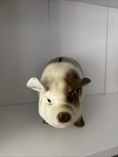 Realistic pig piggy for sale  PLYMOUTH