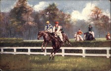 Horse back riding for sale  USA