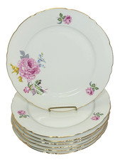 Vintage bohemian china for sale  Crossville