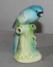 Blue parrot tree for sale  Altoona