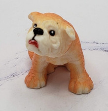 English bulldog brown for sale  Monticello