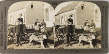 Belgium antwerp milk d'occasion  Expédié en Belgium