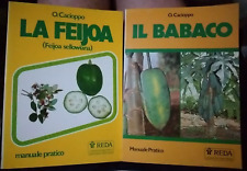 Cacioppo feijoa babaco usato  Caivano