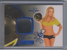 2011 bench warmer for sale  Salt Lake City