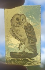 Stained glass owl for sale  BATTLE
