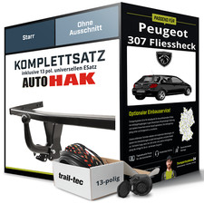 Peugeot 307 fliessheck gebraucht kaufen  Pößneck