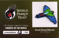 Parrot trust bird for sale  SCARBOROUGH