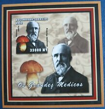 Mosambik pilze mushroom gebraucht kaufen  Aue