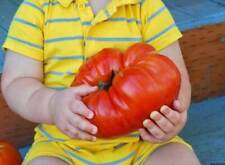 Big zac tomate d'occasion  Expédié en France