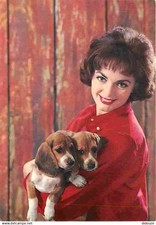 Animaux chiens beagle d'occasion  Fruges
