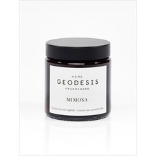 Geodesis mimosa candela usato  Spedire a Italy