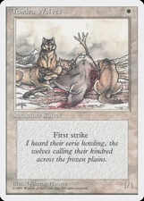 Carta mtg tundra usato  Italia