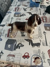 Liver white springer for sale  WORTHING
