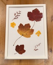 Quadro foglie vere usato  Italia