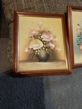 ähnliche blumen bilder gebraucht kaufen ähnliche blumen bilder gebraucht kaufen  Sömmerda